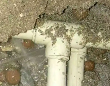 廊坊测漏水多少钱