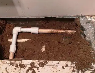 廊坊测漏水哪家好